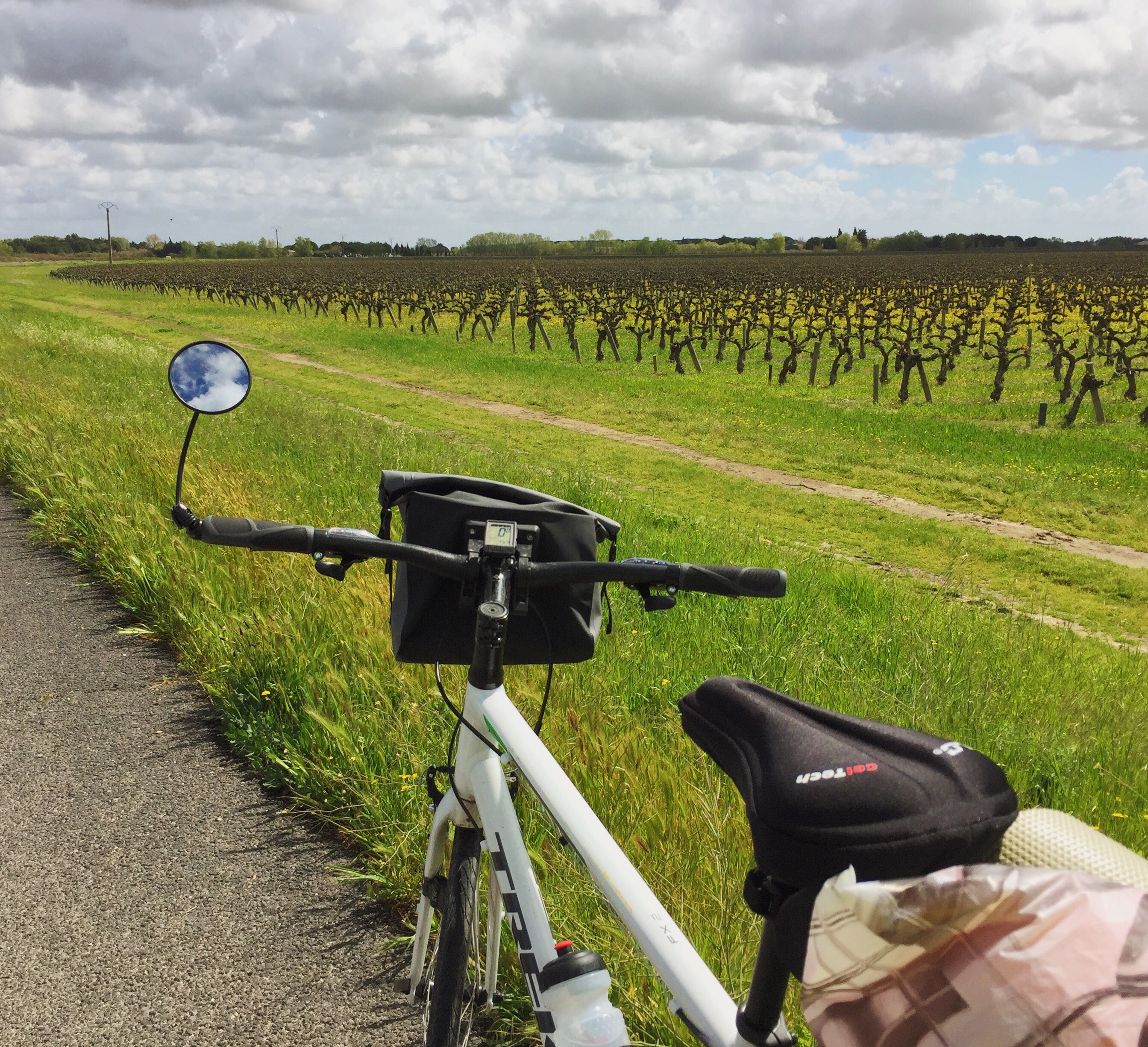 Mi bici en medio de la Provenza